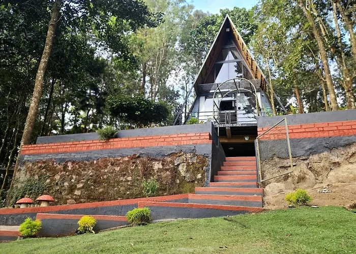 Wild Root Stay- Orchid Chalet